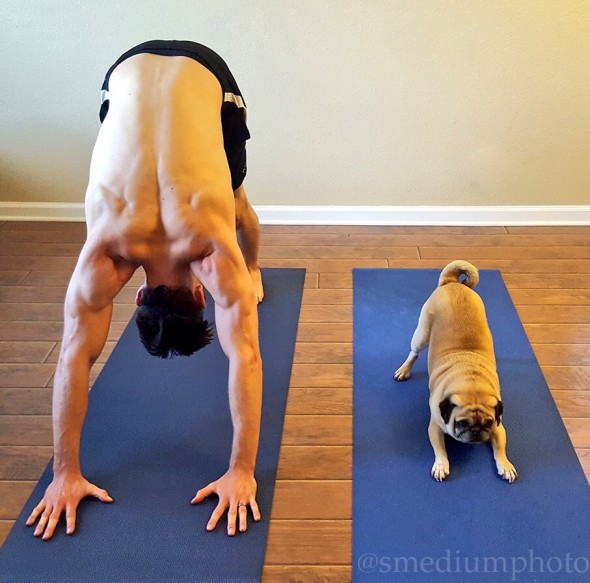 11-17-16-man-and-his-dog-do-yoga3