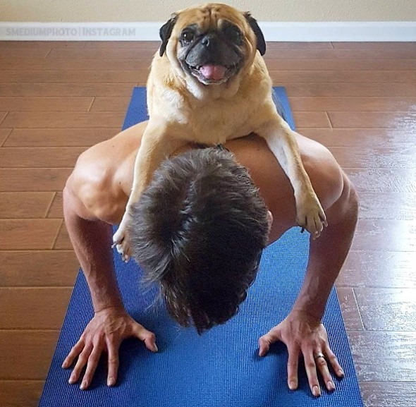 11-17-16-man-and-his-dog-do-yoga5