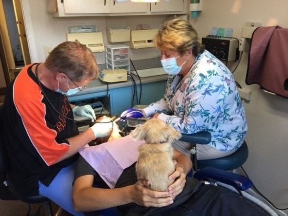 11-19-16-karma-dental-therapy-dog2
