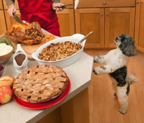11-24-16-thanksgiving7