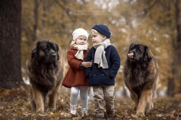 11-25-16-little-kids-and-their-big-dogs19