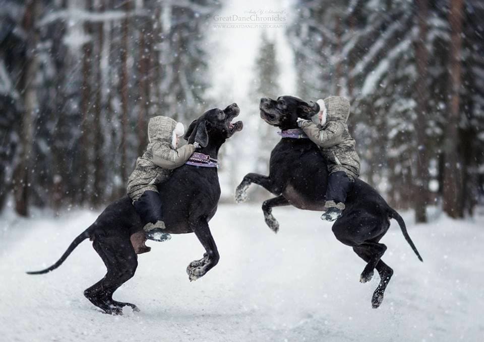 36 Truly Magical Photos of Little Kids and Their Big Dogs - LIFE WITH DOGS