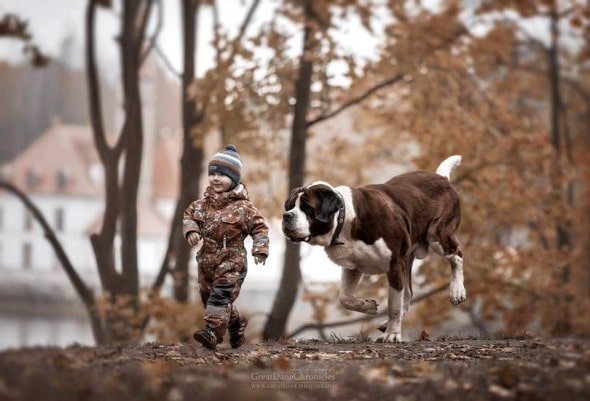 11-25-16-little-kids-and-their-big-dogs8