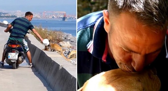 11-26-16-turkey-rescuer