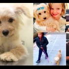 11.8.16 NPH Adopts Street Dog from Thailand000