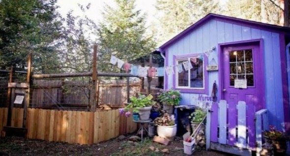 Luvable Dog Rescue's cottages make for lower-stress environments for its residents. Photo: Luvable Dog Rescue 