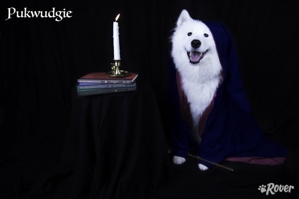 pukwudgie