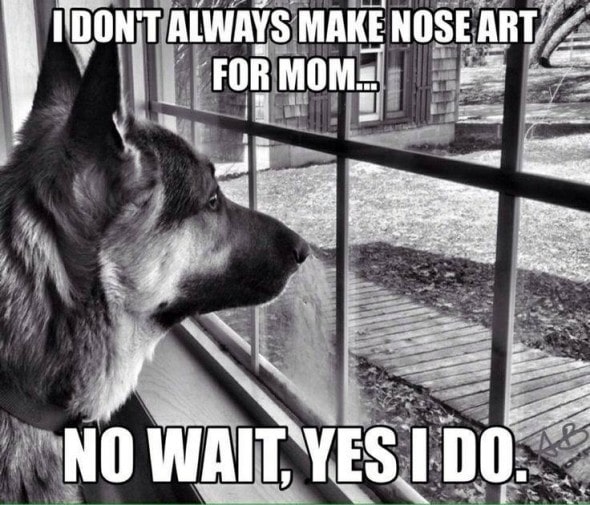 12-22-16-gsd-photos6