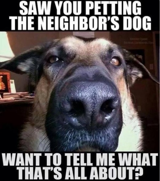 12-22-16-gsd-photos7