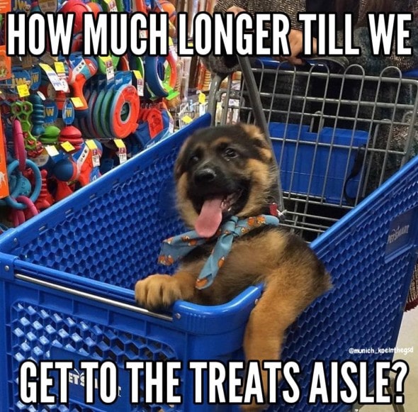 12-22-16-gsd-photos9