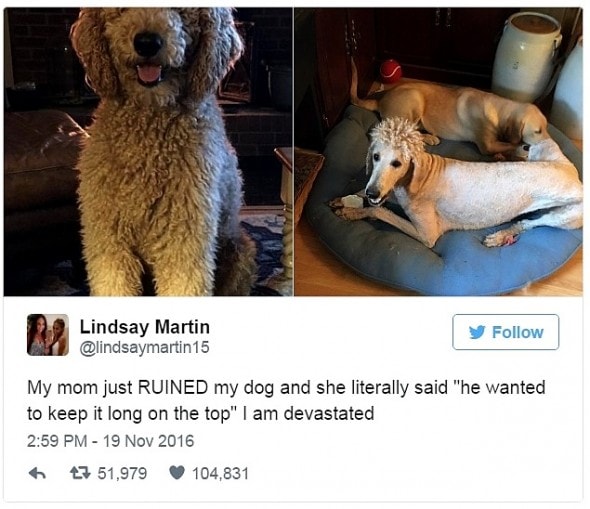 12-31-16-best-tweets-of-2016-1