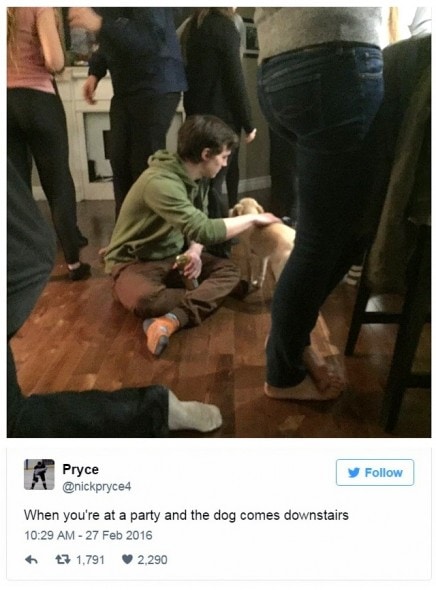12-31-16-best-tweets-of-2016-10a