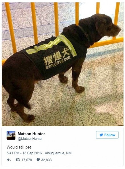 12-31-16-best-tweets-of-2016-14a