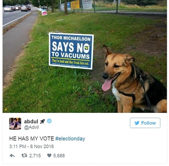 12-31-16-best-tweets-of-2016-16