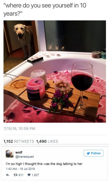 12-31-16-best-tweets-of-2016-19a