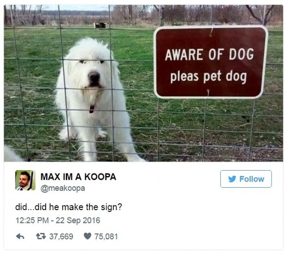 12-31-16-best-tweets-of-2016-20