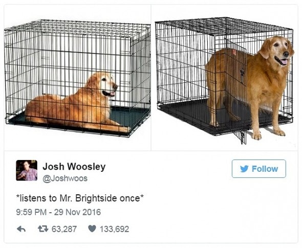 12-31-16-best-tweets-of-2016-21