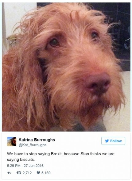 12-31-16-best-tweets-of-2016-23a