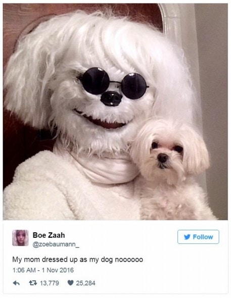 12-31-16-best-tweets-of-2016-24a