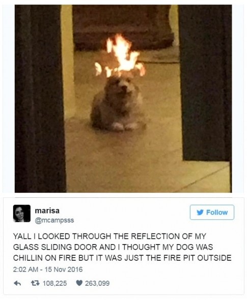 12-31-16-best-tweets-of-2016-25a