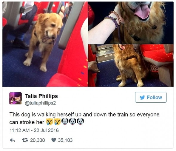 12-31-16-best-tweets-of-2016-26