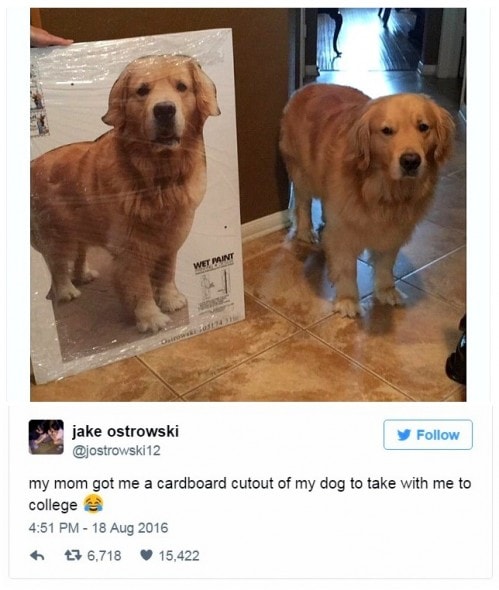 12-31-16-best-tweets-of-2016-9a