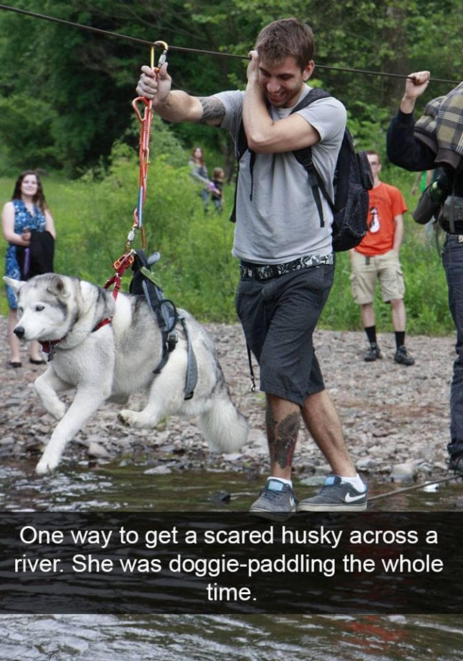 12-4-16-husky-floof-photos10