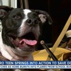12.6.16 Teen Saves Dog from Fire2