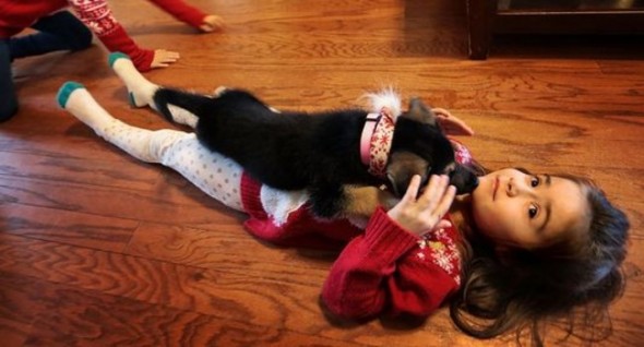 Kylee Grace Payne, 7, bonds with the family's new puppy, Jolly. Photo: Jim Weber/The Commercial Appeal 