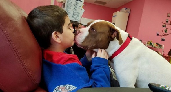 Lady seems to intuit what patients want, whether that means in-your-face puppy kisses.... Photo: Mandy Weikert 