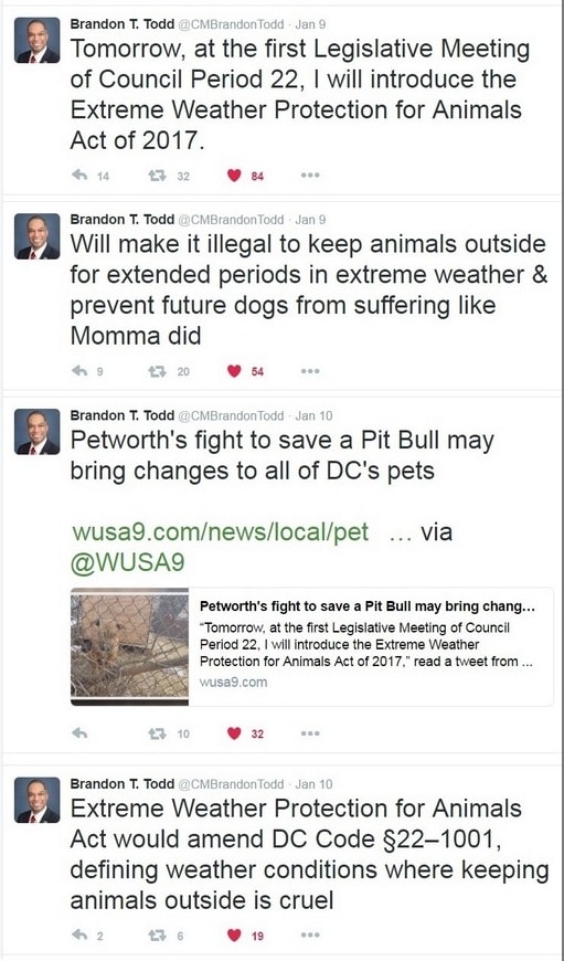1-11-17-dog-left-outside-in-the-cold-prompts-a-petition-demanding-better-laws-in-dc00