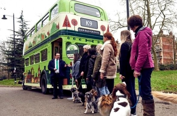 1.18.17 - London Launches World’s First Bus Tour for Dogs1