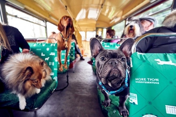 1.18.17 - London Launches World’s First Bus Tour for Dogs4