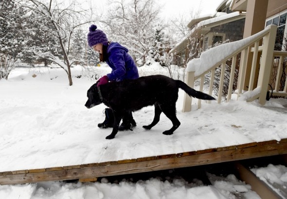Maddie Dimetrosky, 11, helps her dog Tashi get down the new ramp built by their mailman on Thursday in Boulder. For more photos and video with Kramer about the dog ramp go to www.dailycamera.com Jeremy Papasso/ Staff Photographer/ Jan. 5, 2017