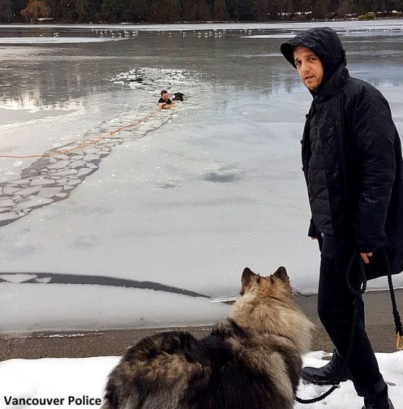 2.13.17 Officer Jumps into Frozen Lake to Save Drowning Dog3