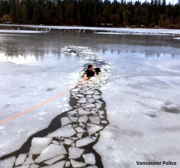 2.13.17 Officer Jumps into Frozen Lake to Save Drowning Dog4