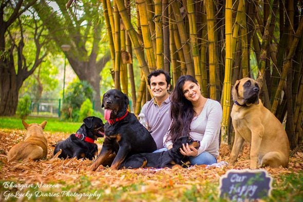 Pregnant Woman Told to Give Up Her Five Dogs Does a Maternity Shoot With  Them Instead - LIFE WITH DOGS