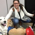 2.15.17 Service Dogs FEAT
