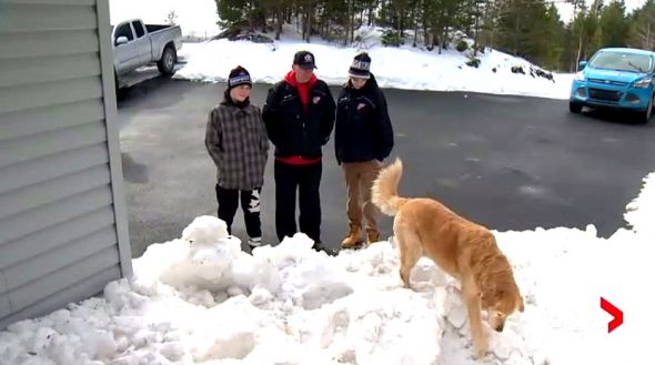 2.23.17 Dog Saves Humans from Snow Fort Collapse3