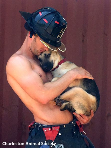 2.24.17 Firefighter Adopts Dog He Posed With2