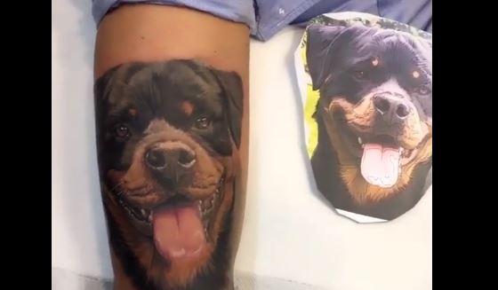 Best Dog Food For Labs >> They Go Together Like Tats & Dogs...! - LIFE WITH DOGS Best Dog Food For Labs >> They Go Together Like Tats & Dogs...! - LIFE WITH DOGS