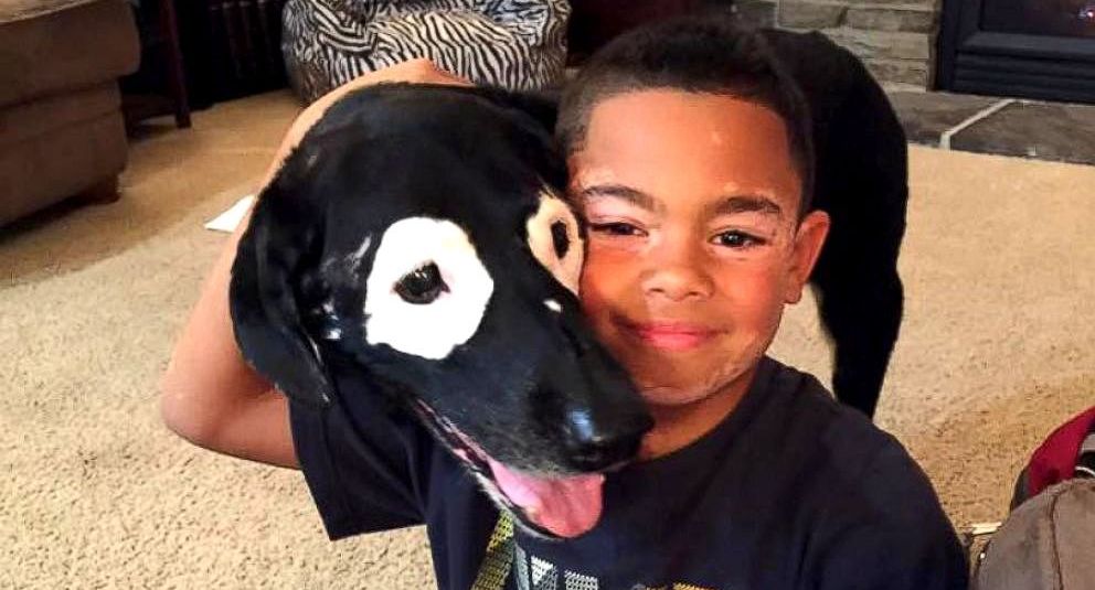 Dog Famous for Having Vitiligo Has Helped a Little Boy With the Same ...