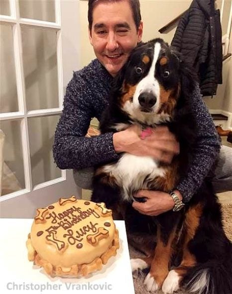 3.22.17 Dog Goes Gaga for Birthday Cake1