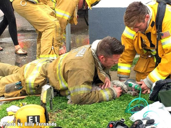 3.24.17 Firefighters Valiantly Save Tiny Dog Who Died in Fire2b