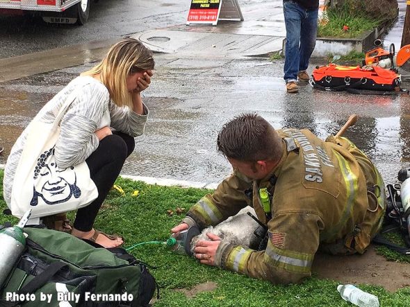 3.24.17 Firefighters Valiantly Save Tiny Dog Who Died in Fire8
