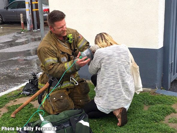 3.24.17 Firefighters Valiantly Save Tiny Dog Who Died in Fire9