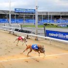 3.27.17 Last Greyhound Racing Track in London Has Closed8