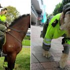 3.28.17 Street Dog Becomes Colombia’s Cutest Police Officer10
