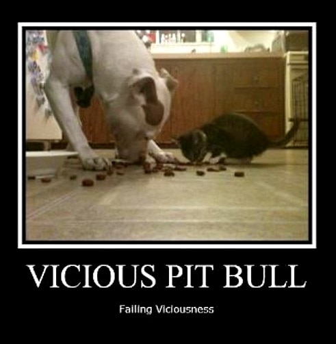 3.3.17 Vicious Pit Bulls Failing Viciousness6