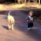 3.30.17 Two Year Old Takes Dog for a Walk
